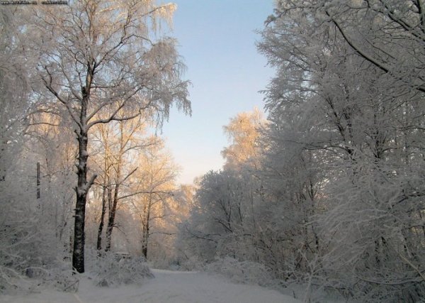 Зимние пейзажи