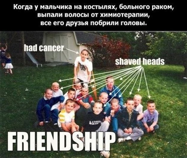Истинный смысл дружбы