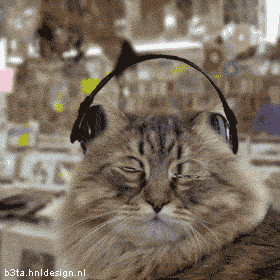 Музыкальные коты