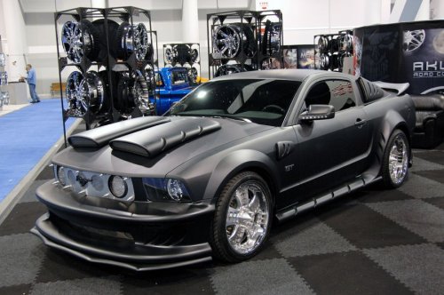   Mustang