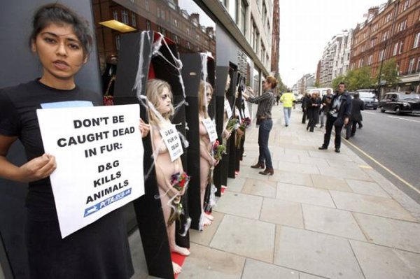 Демонстрация организации по защите прав животных PETA у бутика Dolce & Gabanna в Лондоне