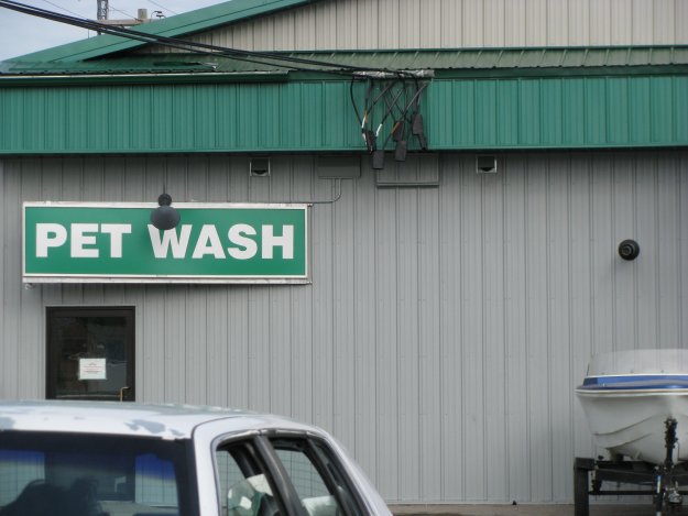 Car wash... Pet wash... почти одно и то же...