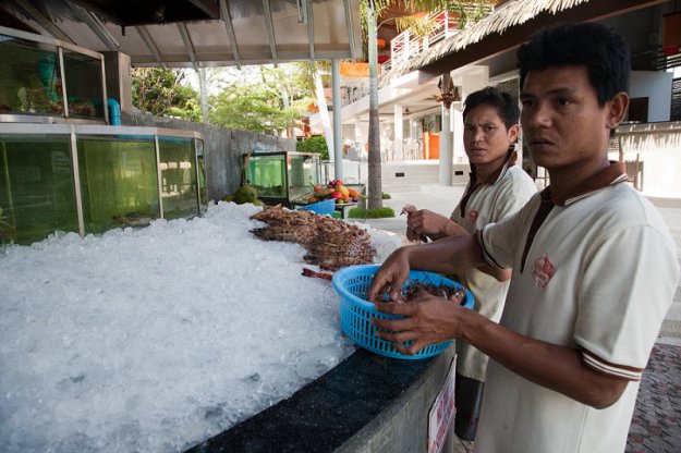 Чем кормят в Тайланде? Интересное фотонаблюдение.