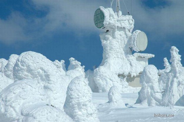 Снежные монстры в Японии
