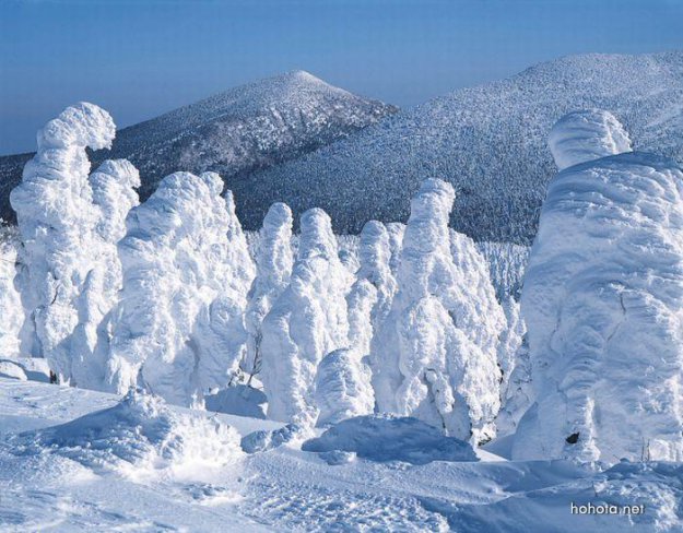 Снежные монстры в Японии