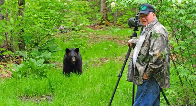 Очеловеченый быт семейства черных медведей