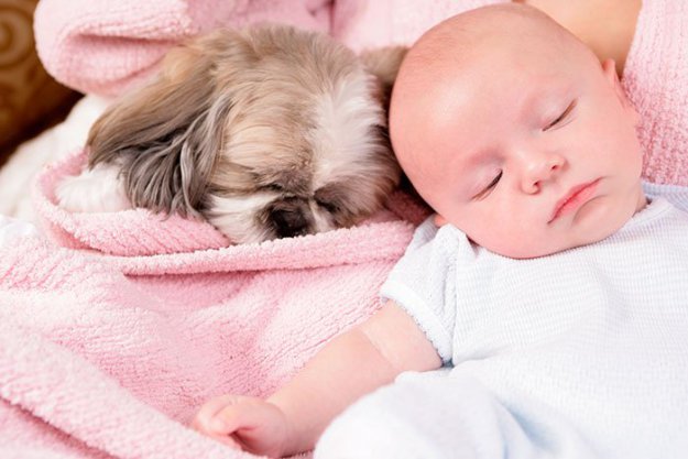 Дети спят в обнимку с собаками