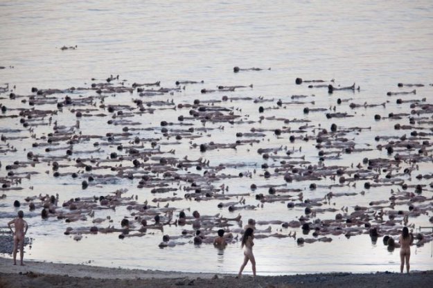 Свобода по Тунику: голая тысяча на Мертвом море