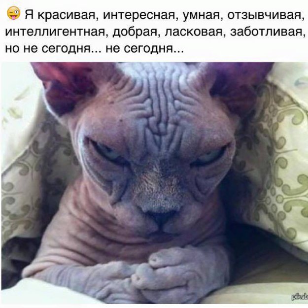 ����� �����... ))