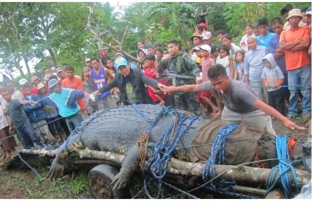 Самый большой в мире крокодил пойман на Филиппинах