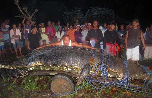 Самый большой в мире крокодил пойман на Филиппинах