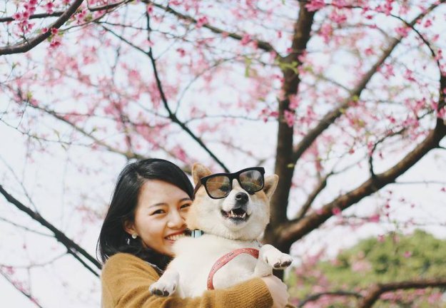 Весенние фото цветущей сакуры из японского Инстаграм