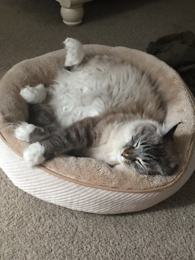 ���������.....����