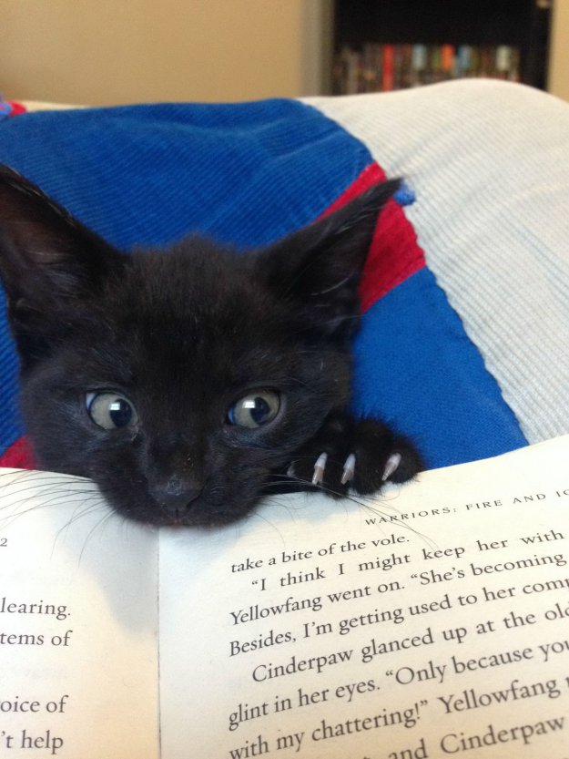 ���������.....����