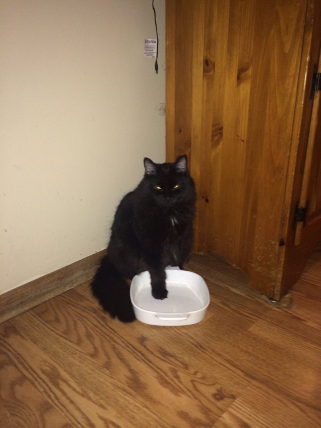 ���������.....����