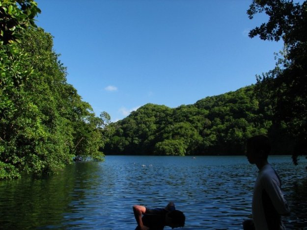 Озеро Медуз, Палау