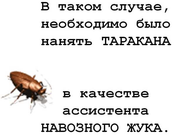 Сказка про муравья. Прикол о работе
