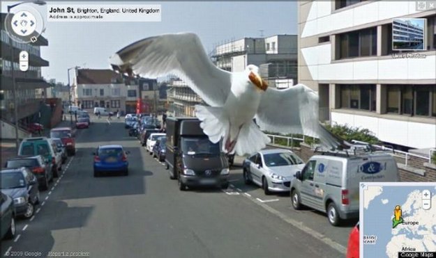  10     Google Street View