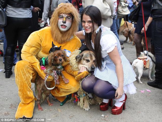 В Нью-Йорке в честь Хэллоуина прошел собачий маскарад
