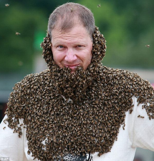 Соревнование на лучшую бороду из пчел