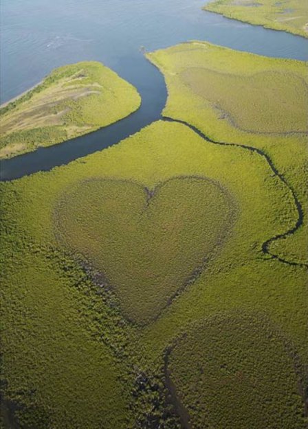 Природа рисует сердце