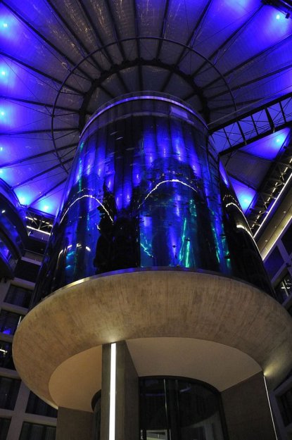 AquaDom — крупнейший цилиндрический аквариум в мире