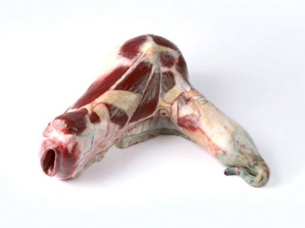 Предметы в виде мяса – дизайнерская коллекция