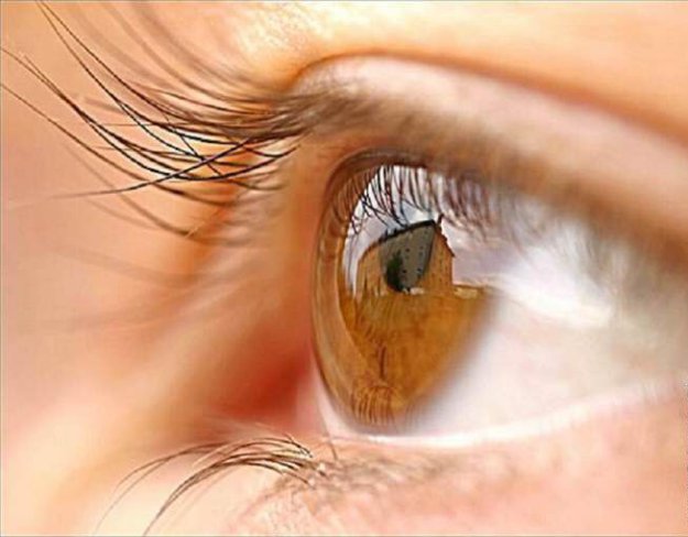 Почему наши глаза имеют разные цвета?