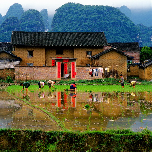Картинки природы Китая