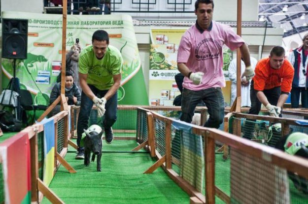 ��������� ����������� ���� 2010