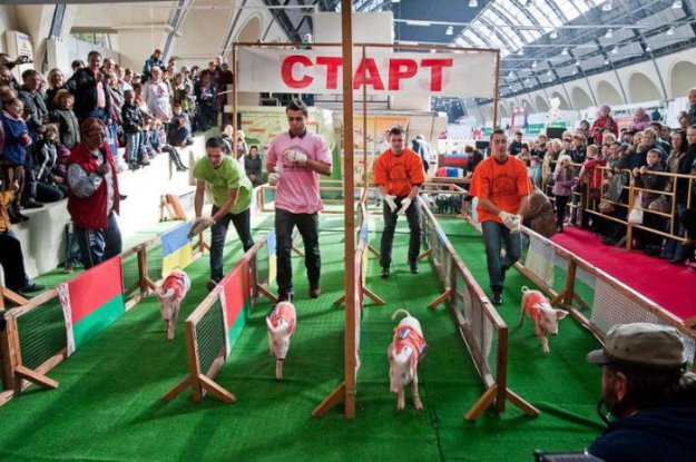 ��������� ����������� ���� 2010