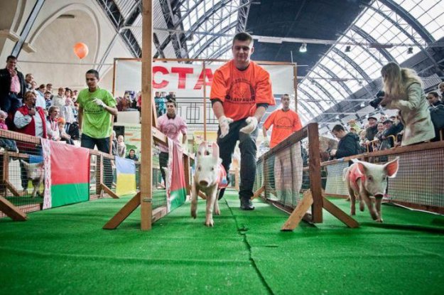 ��������� ����������� ���� 2010