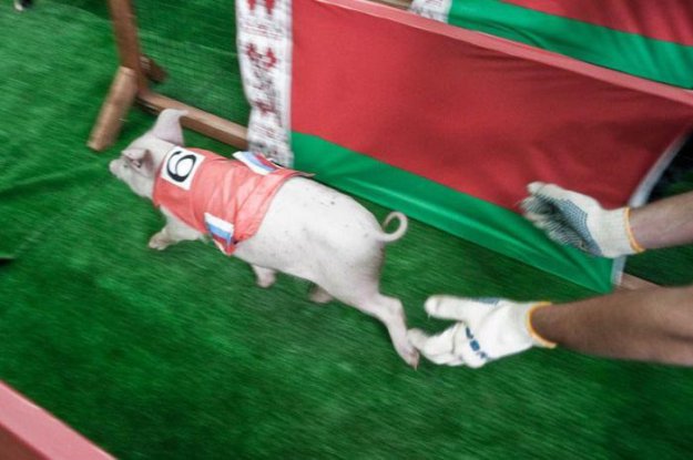 ��������� ����������� ���� 2010