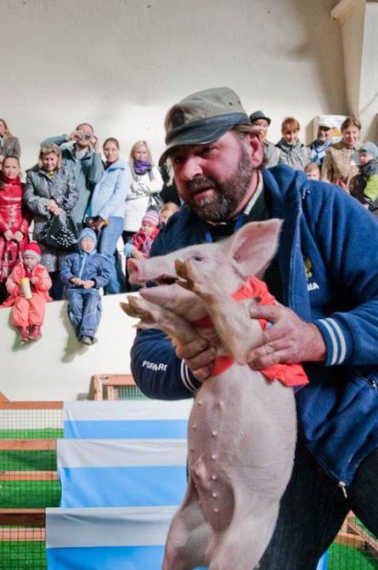 ��������� ����������� ���� 2010