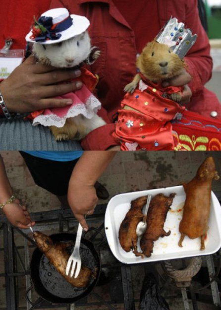 Не для слабонервных. Фестиваль морской свинки в Перу