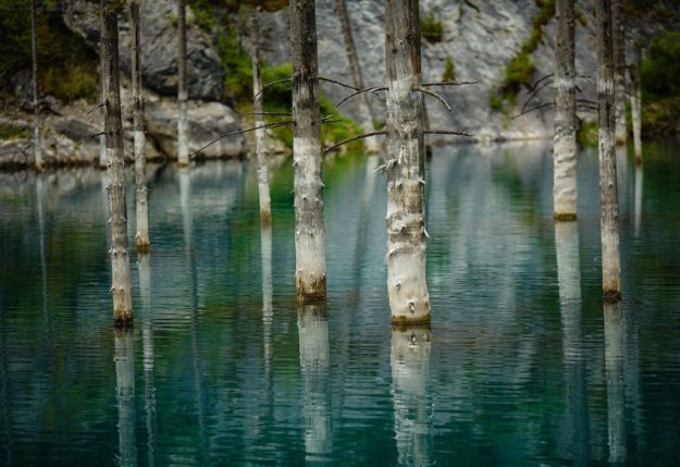 Удивительный затонувший лес: озеро Каинды