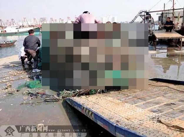 Необычный улов китайских рыбаков...
