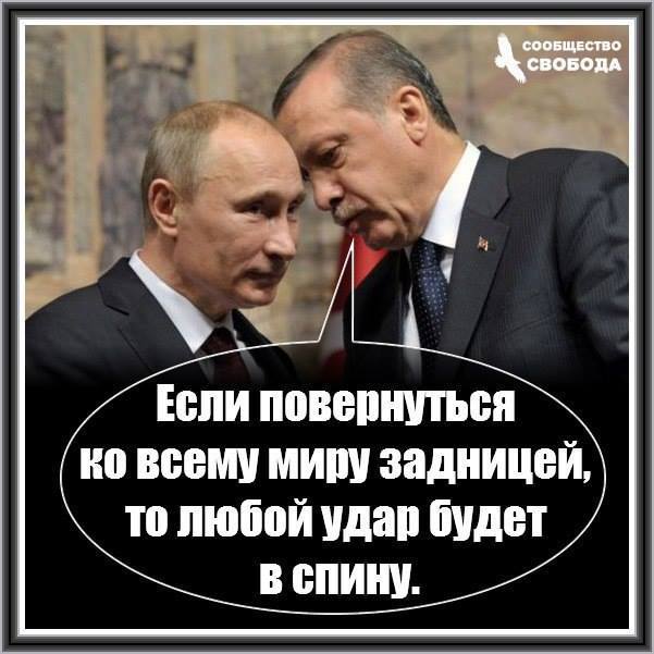 �����. ����