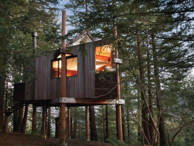 Комфортабельные дома на деревьях
