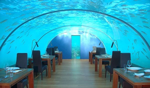   Ithaa (Ithaa Undersea restaurant)  