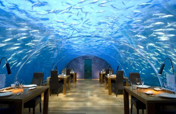   Ithaa (Ithaa Undersea restaurant)  