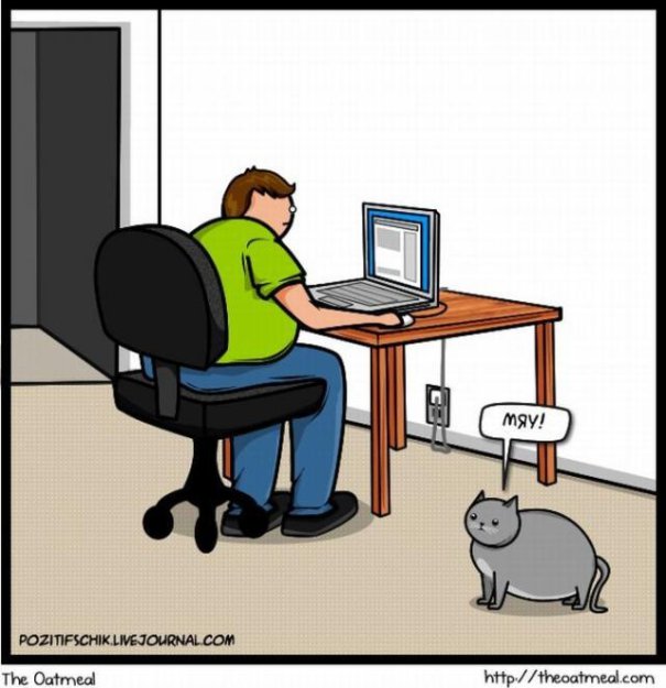 Кот против Интернета