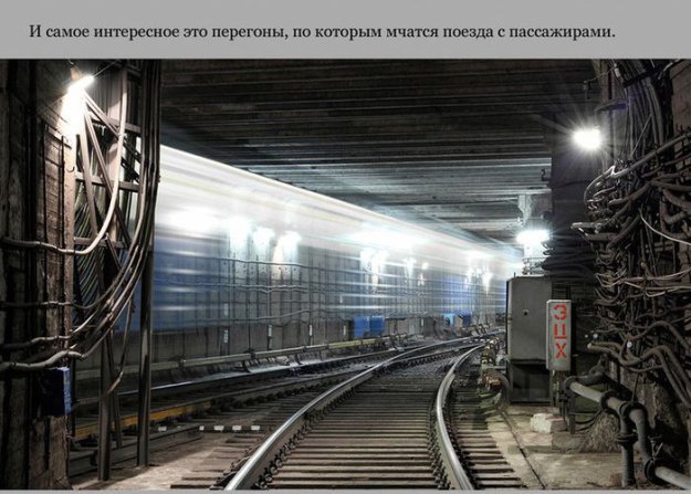 Взгляд на московский метрополитен изнутри