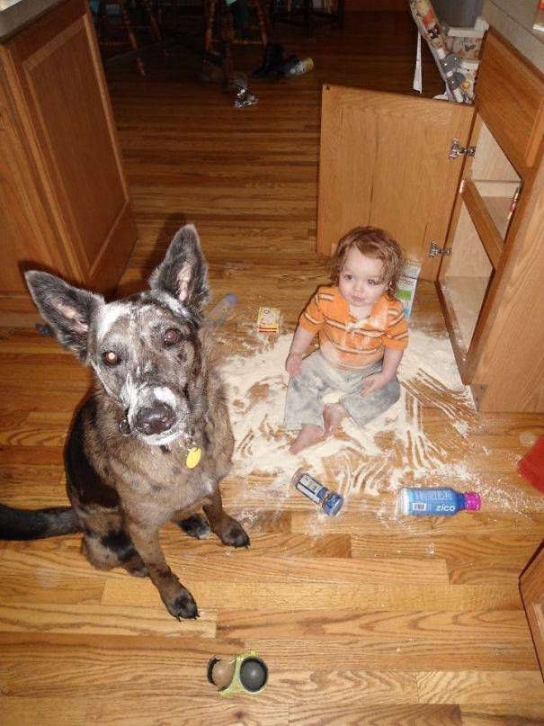 Kids and dogs ...