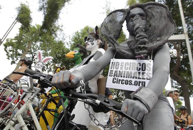 Голый заезд на велосипедах в Мехико