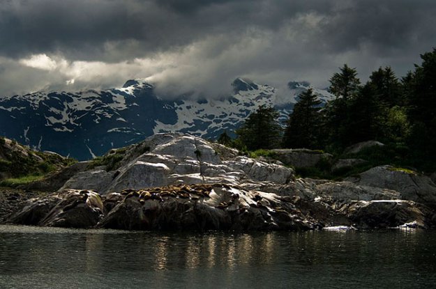 Национальный парк Глейшер Бей на Аляске