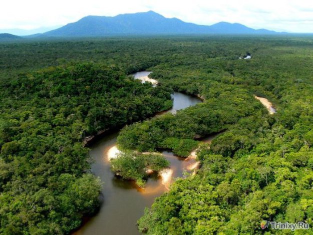 Фотоэкскурсия по нетронутым лесам Амазонки