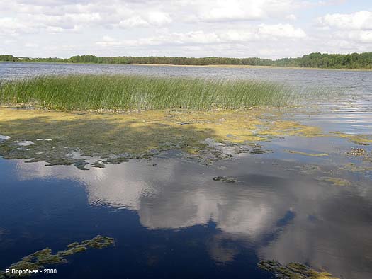 Метаморфозы озера Свитязь