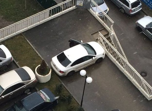 Автохамы паркуют свои автомобили