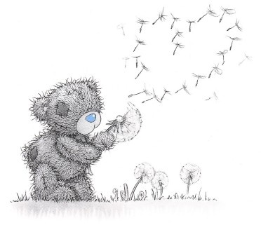 Taddy.     Me to You    1